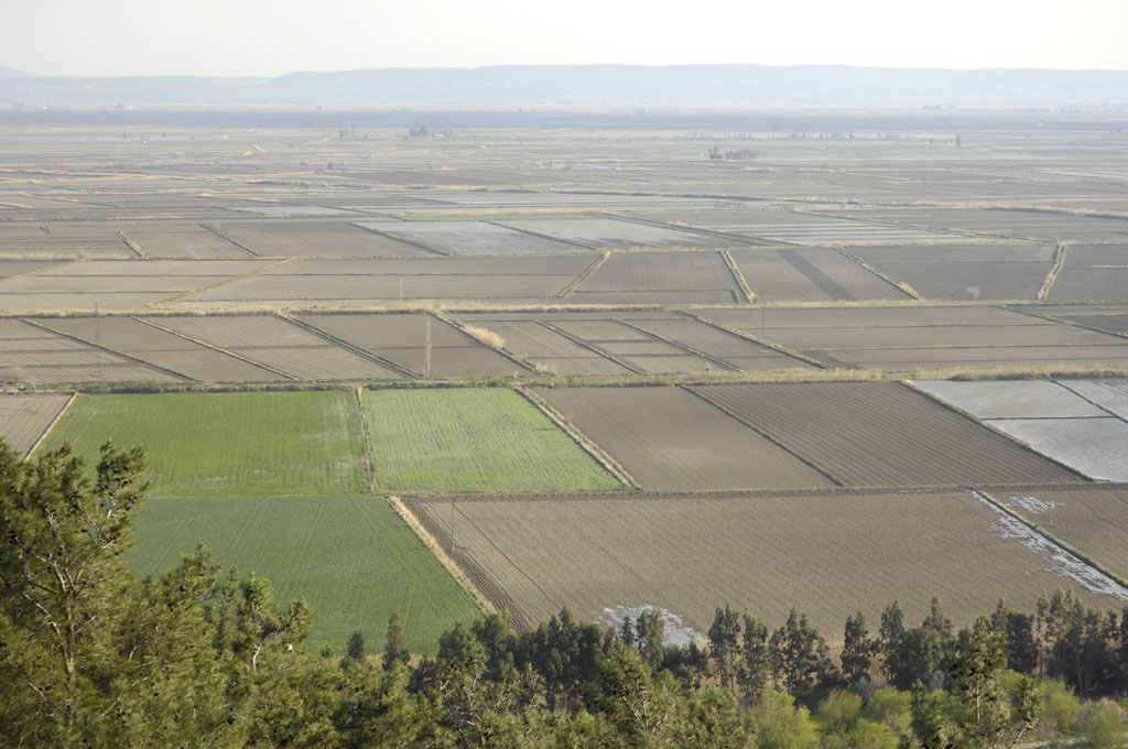 Priene 2007 4794.jpg