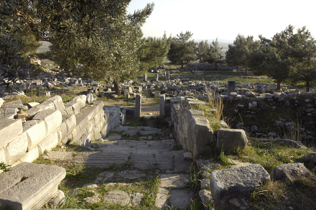 Priene 2007 4802.jpg