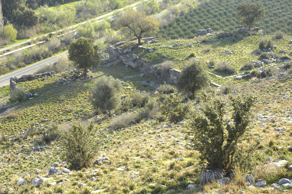 Priene 2007 4806.jpg