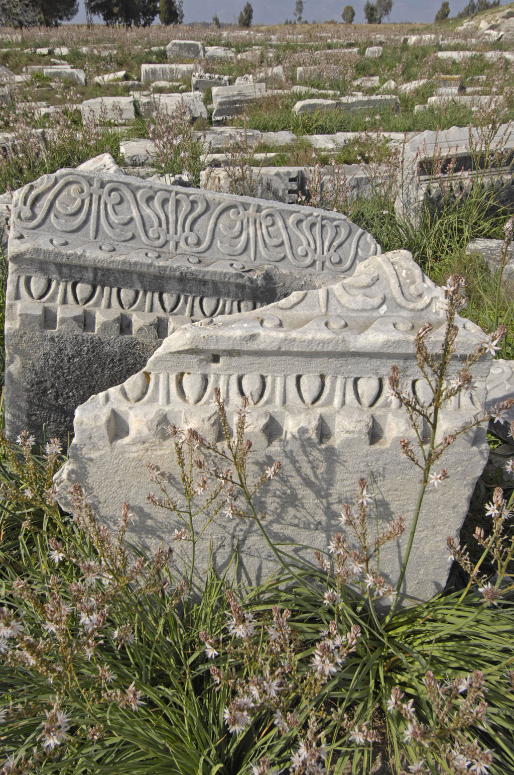 Miletus 2007 4505.jpg