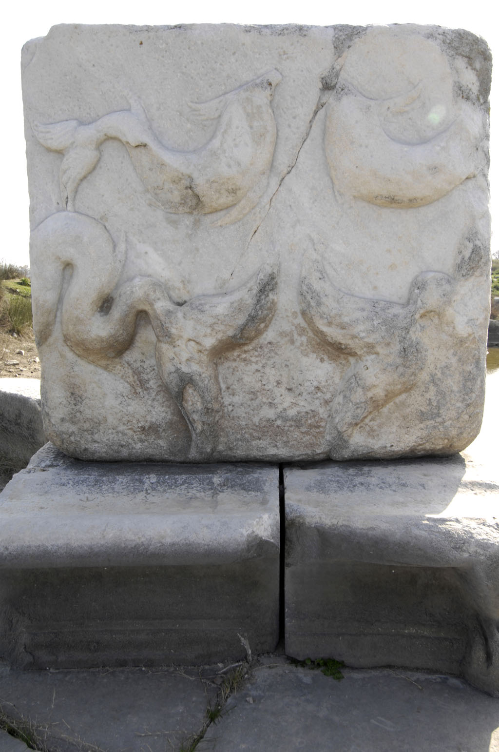 Miletus 2007 4569.jpg