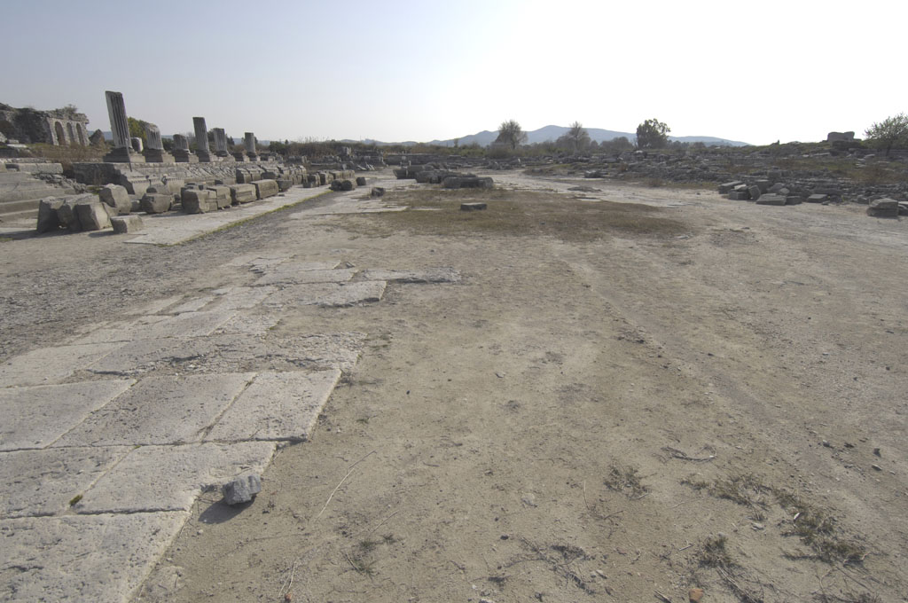 Miletus 2007 4576.jpg