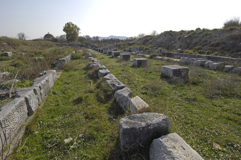 Miletus 2007 4606.jpg