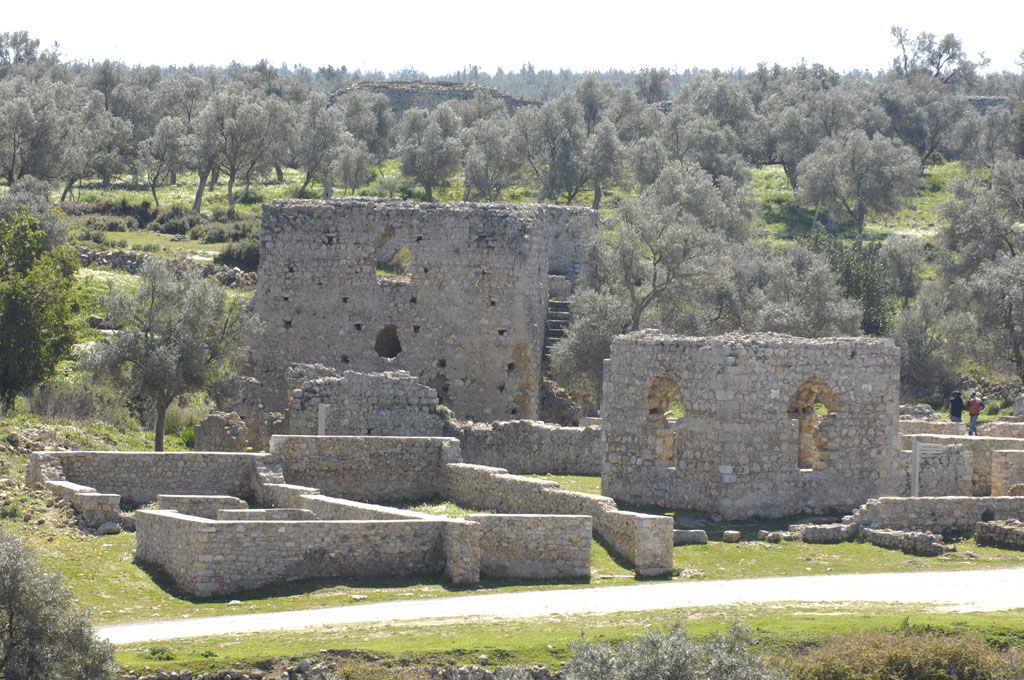 Becin 5264.jpg