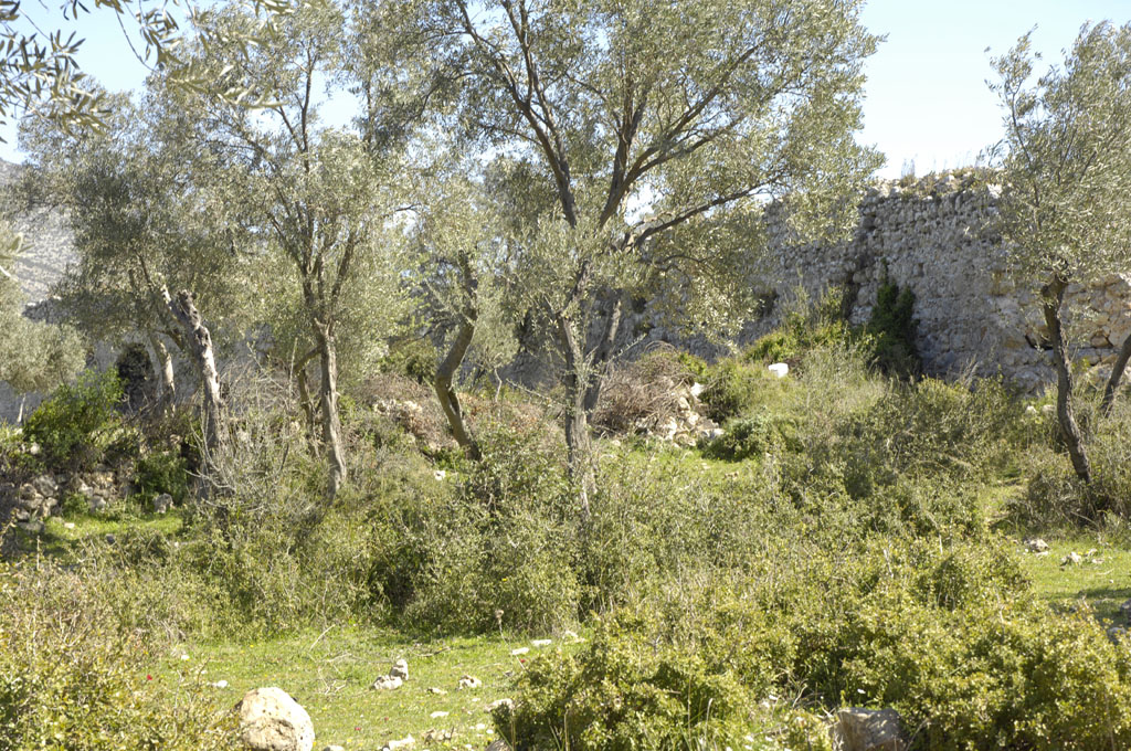 Becin 5326.jpg