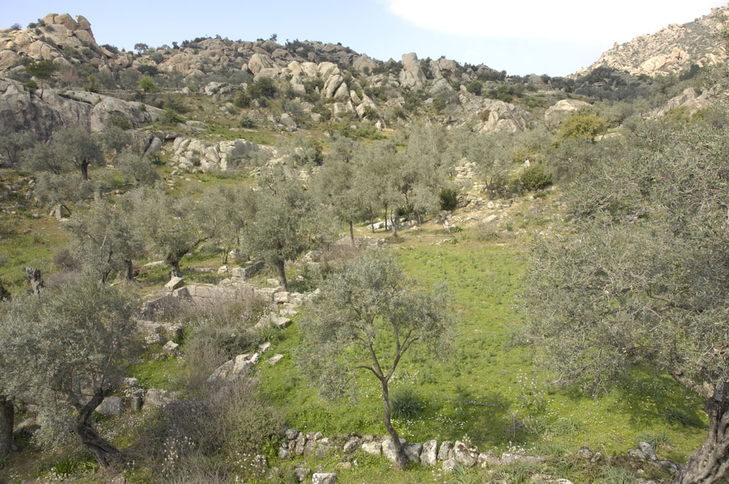 Herakleia 5104.jpg