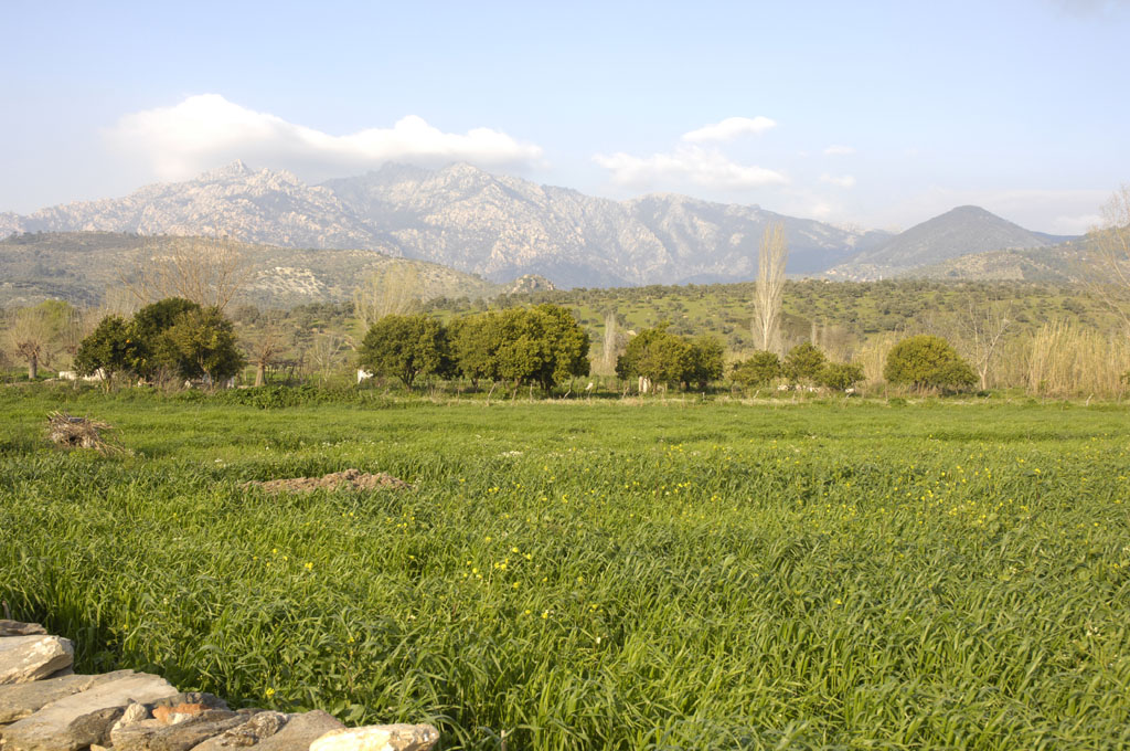 Herakleia 5158.jpg