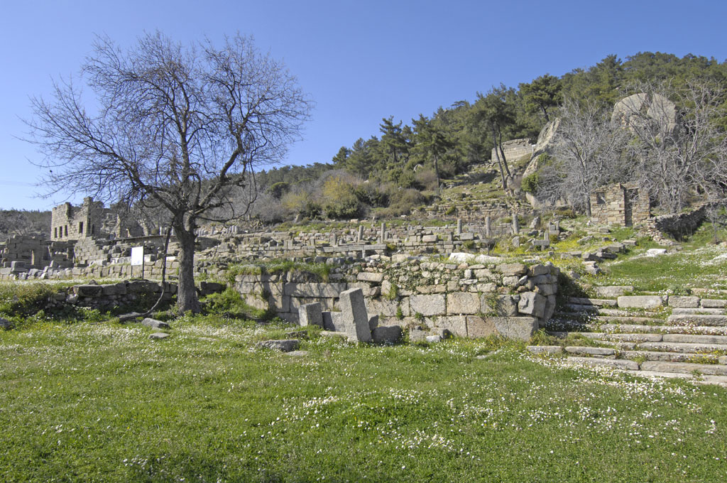 Labranda below Andron B terrace 5599.jpg