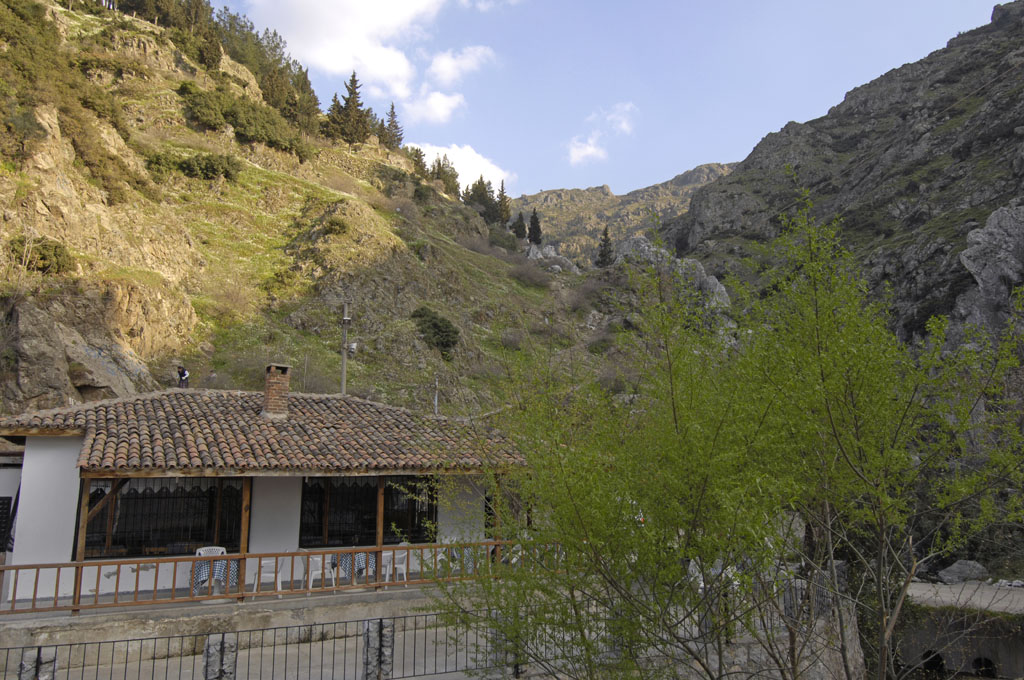 Manisa 5960.jpg