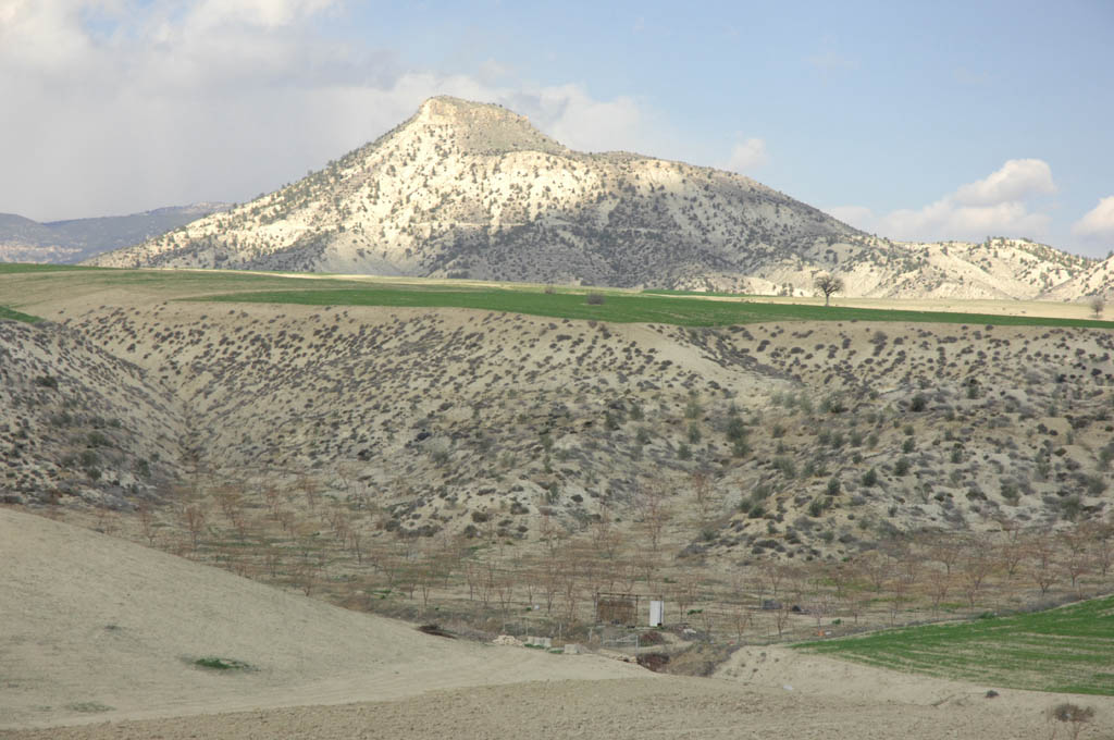 Mut mrt 2008 3755.jpg