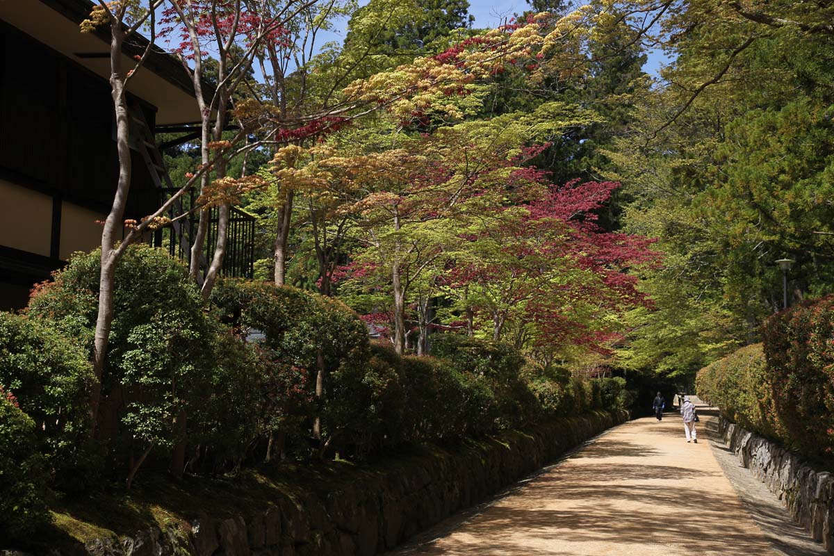 Koyasan