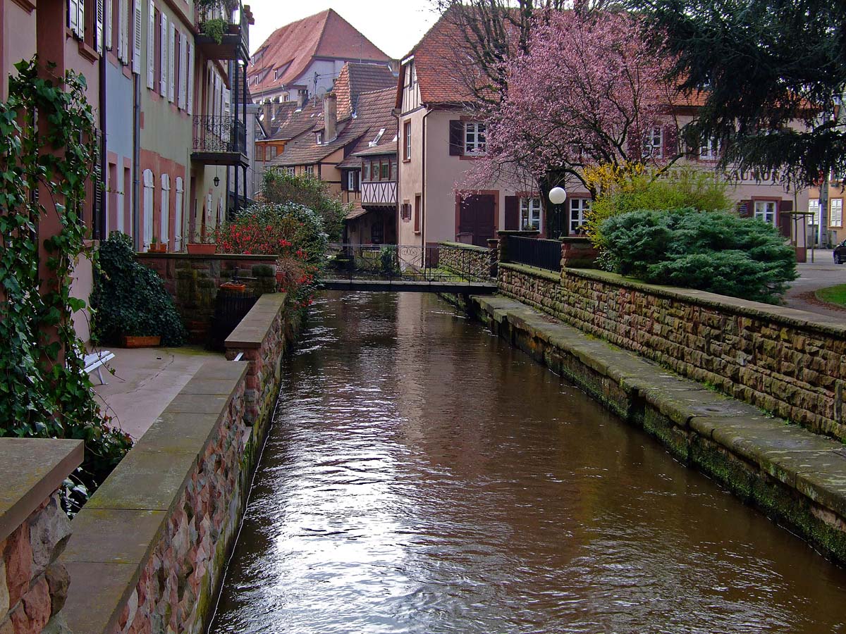 Wissembourg