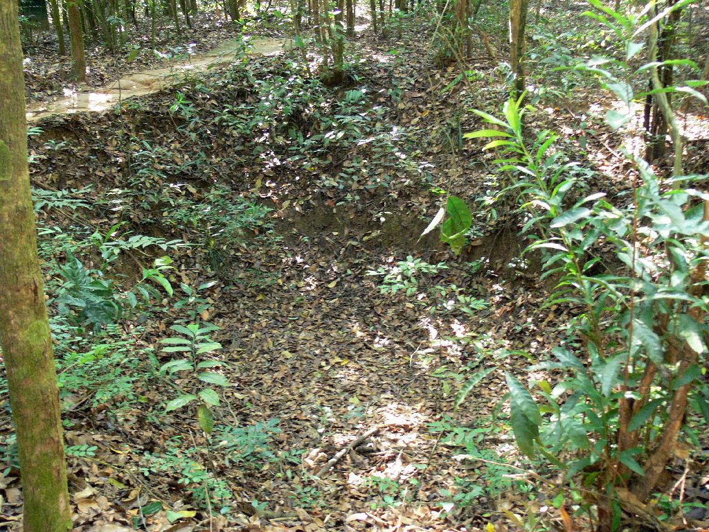  A Bomb Crater Above a Tunnel Network