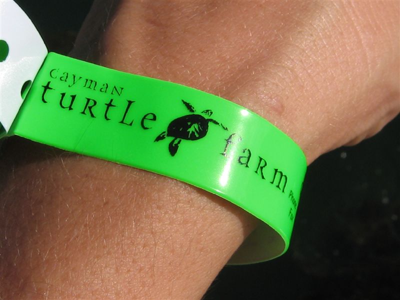 Turtle farm arm band to get in