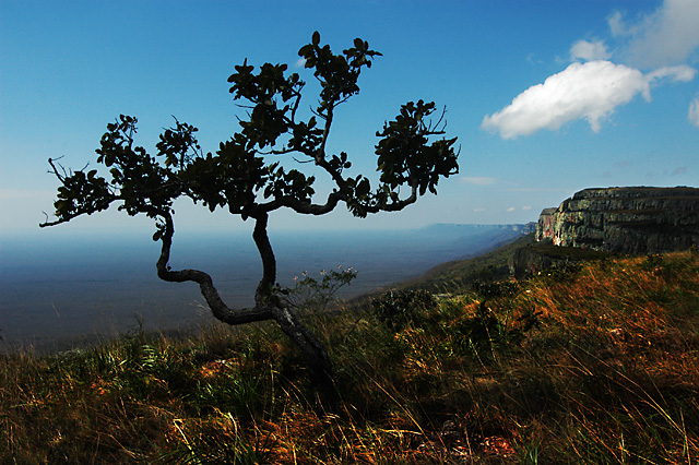 Tucabaca Valley in Santiago de Chiquitos, Bolivia