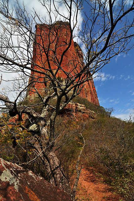 Chochis pinacle near San Jose, Bolivia