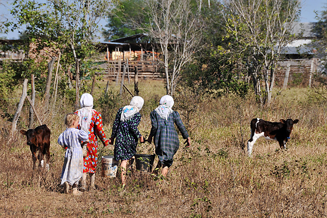 Tres Cruces Mennonite Colony, Pailon, Santa Cruz, Bolivia