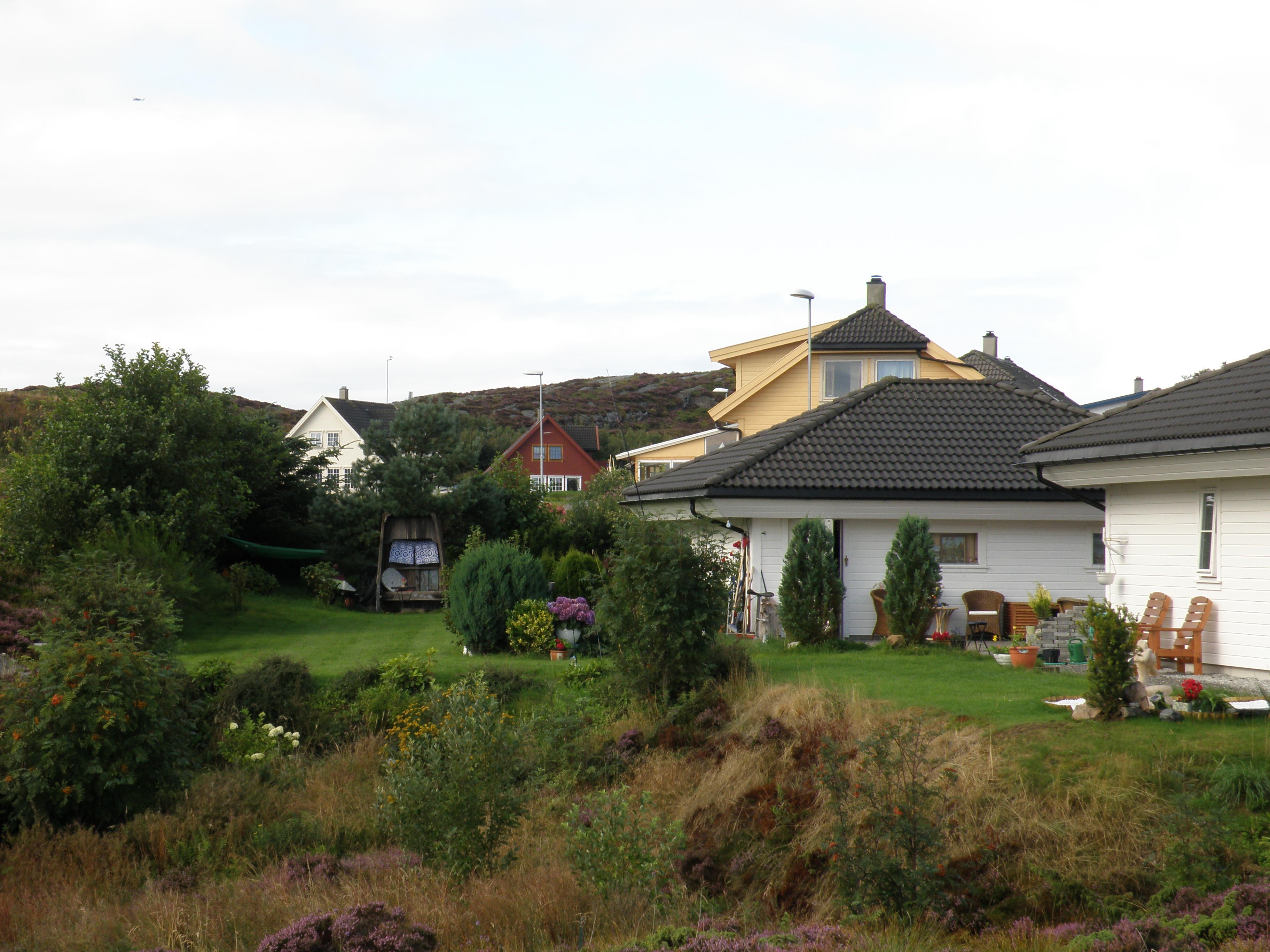 Paalsneset-Rongesundet