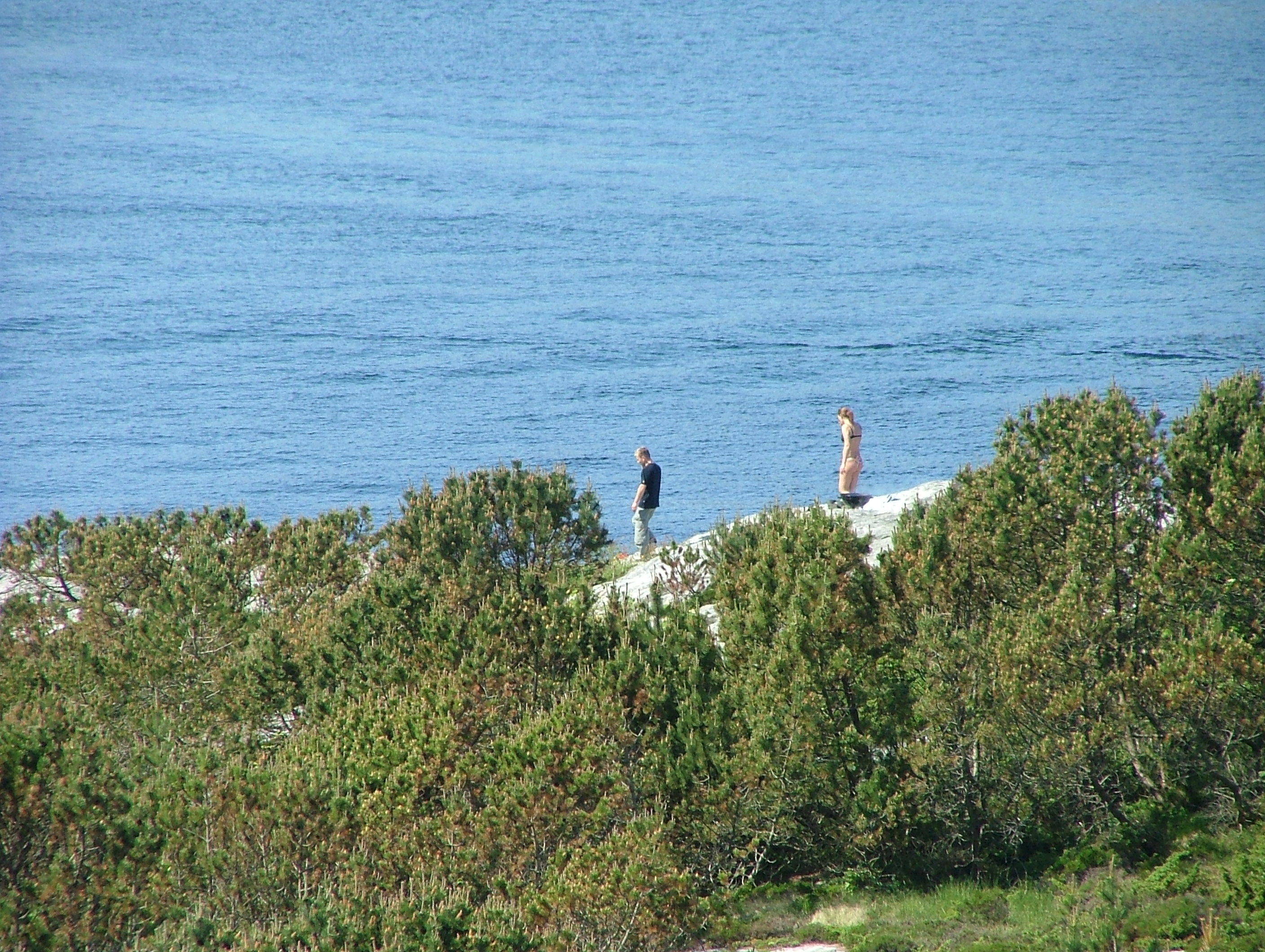 Rongesund Kjerringa on the Hunt ?