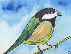 ACEO Great Tit