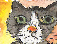 ACEO Sad Cat Watercolour,pen and ink SOLD