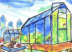 ACEO Allotments greenhouse Watercolour,pen and ink SOLD