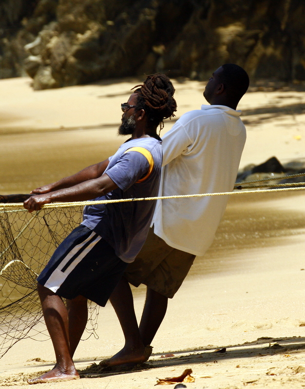 dragging in the nets
