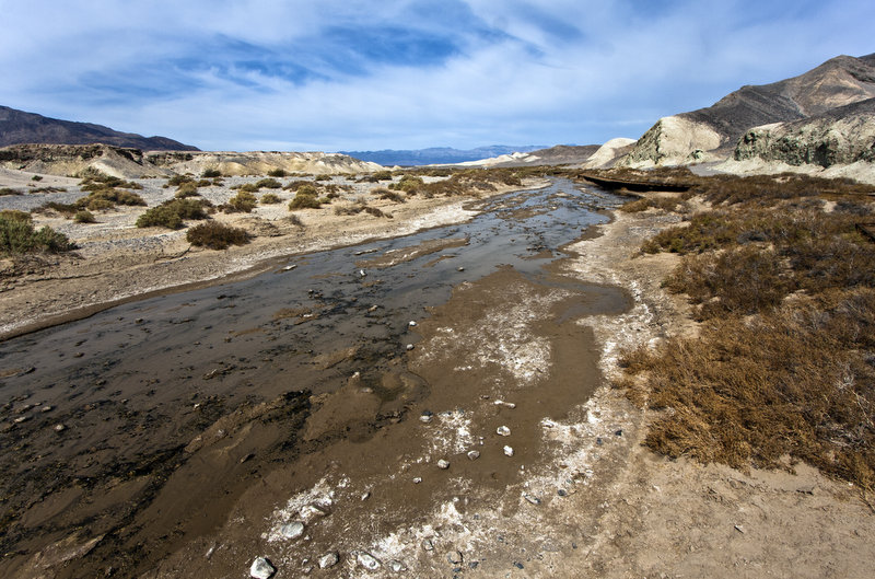Salt Creek-Death Valley