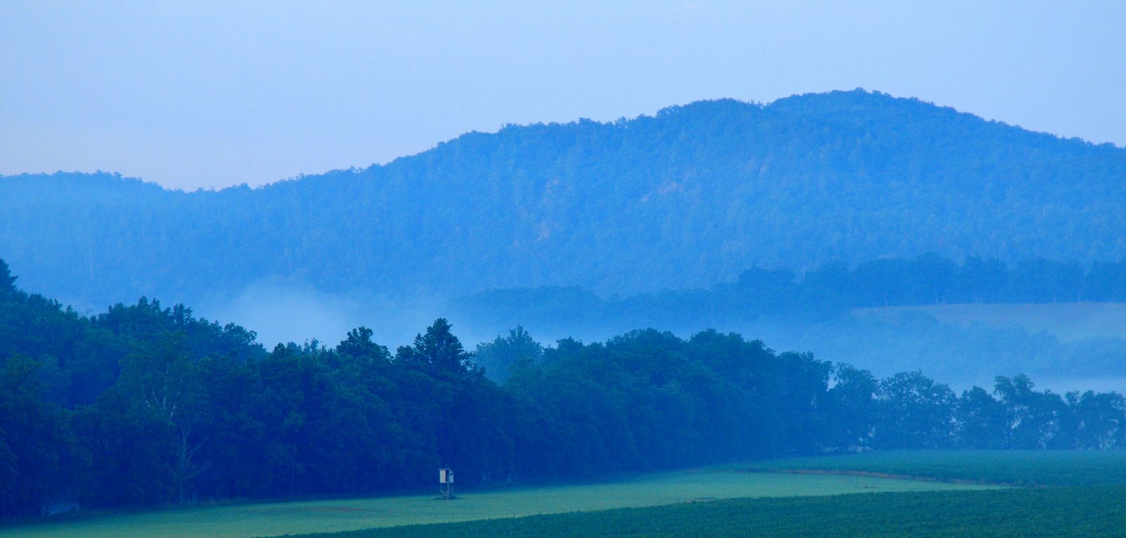 DSC_0853-1.JPG