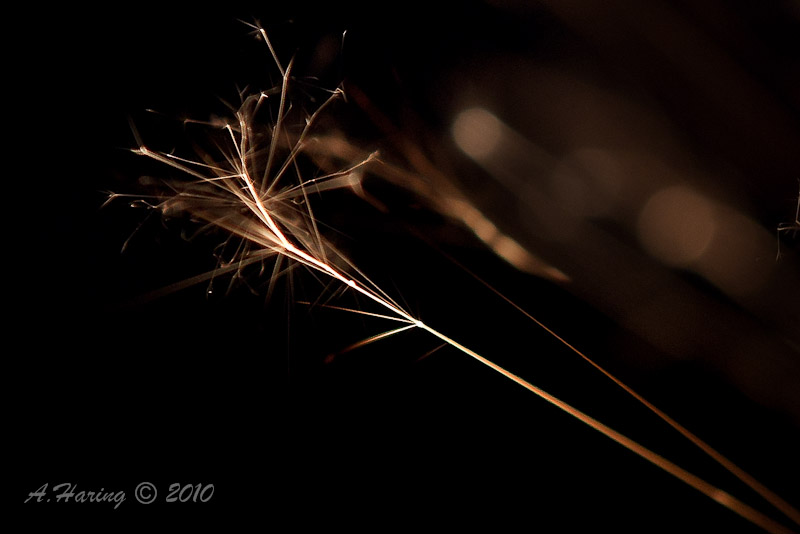 Disintegrating Spark