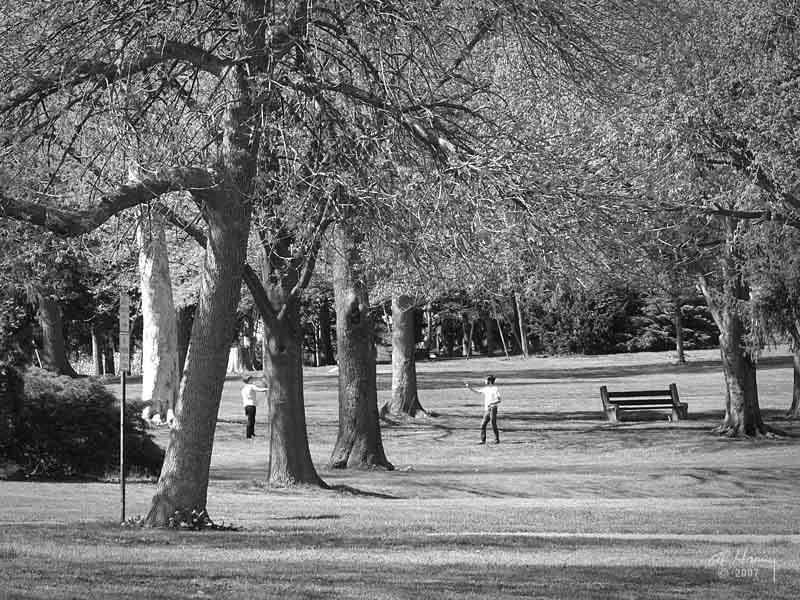Springtime in the park