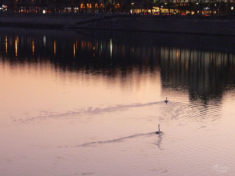 P1170139.jpg