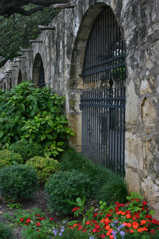 Alamo Arches