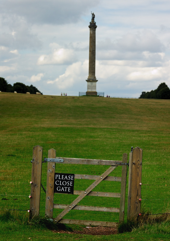 DSC_0055-01.jpg