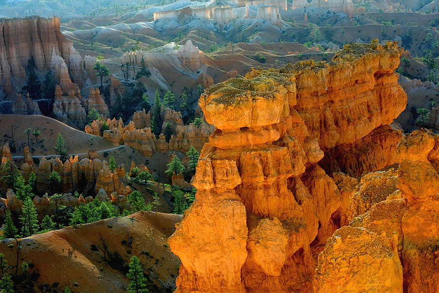 Early Morning Glow in Bryce.jpg