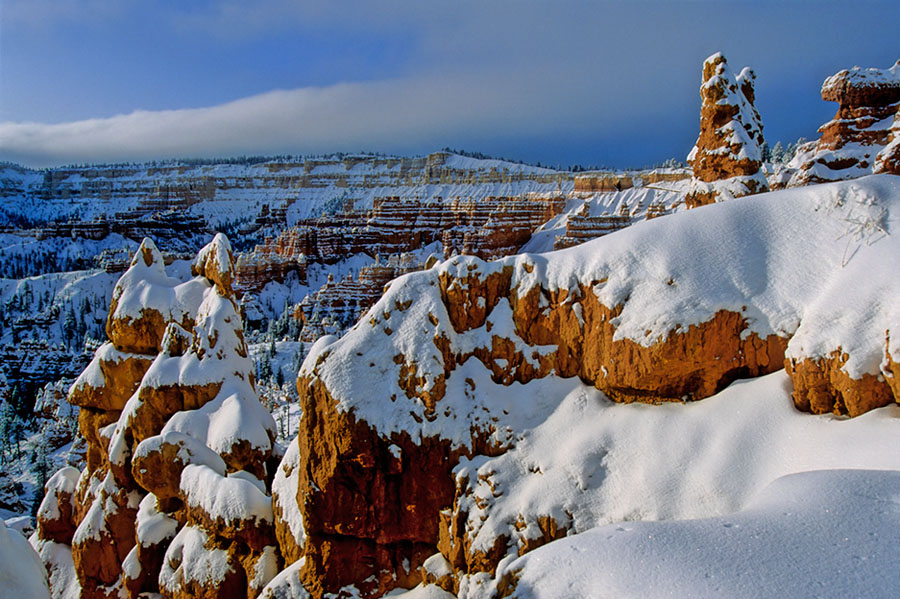 Winter Morning in Bryce.jpg