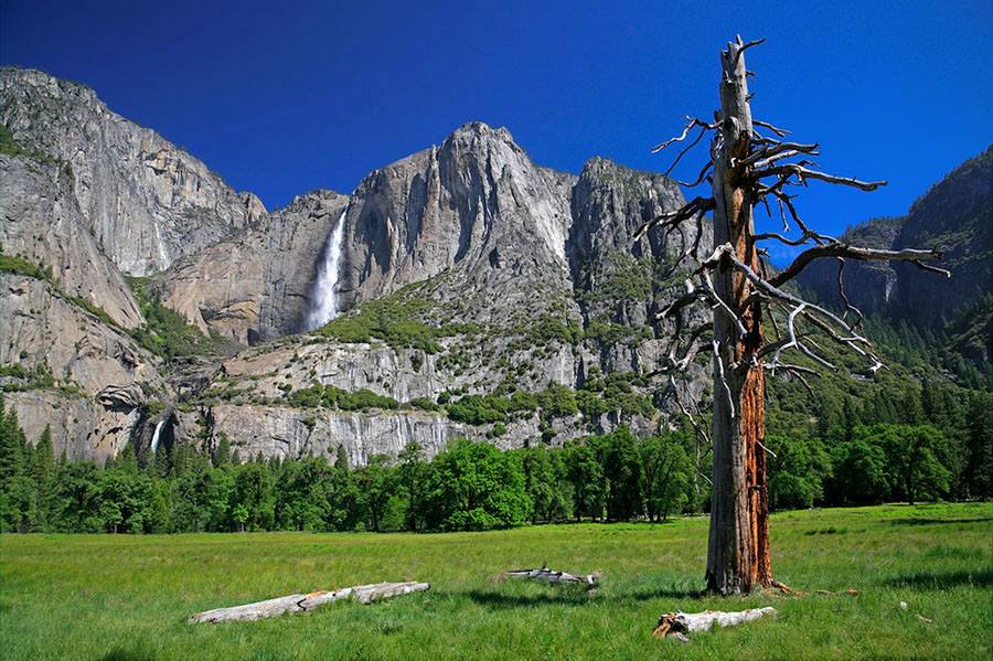 Yosemite Falls View.jpg