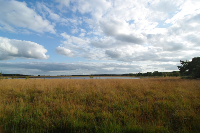 Duurswouderheide