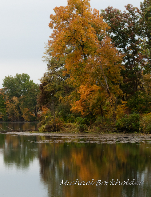DS2_4352.jpg