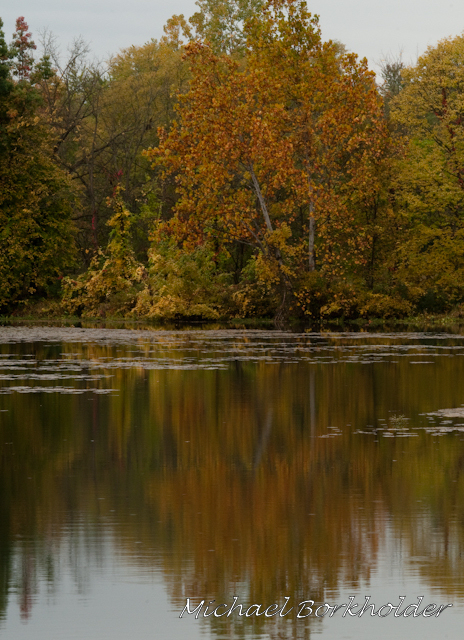 DS2_4357.jpg