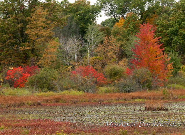 DS2_4389.jpg
