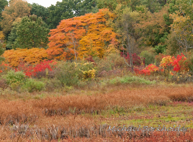 DS2_4391.jpg