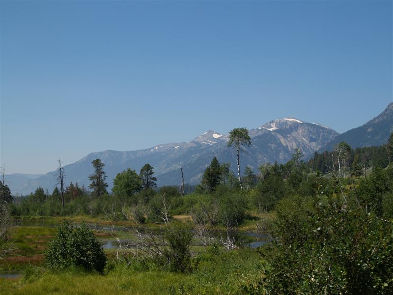 Jackson Hole, WY