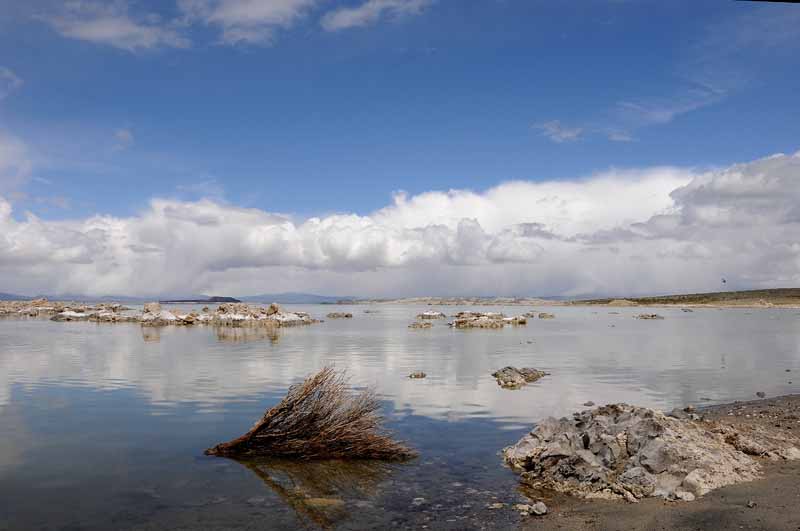 Mono Lake Shoreline