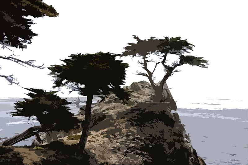 Lone Cypress, Carmel