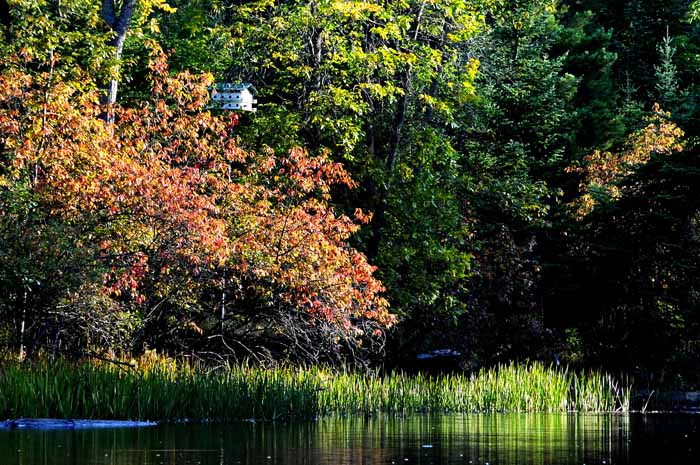 September on the Au Sable 15