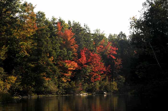 September on the Au Sable 24