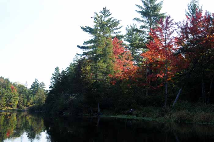 September on the Au Sable 31