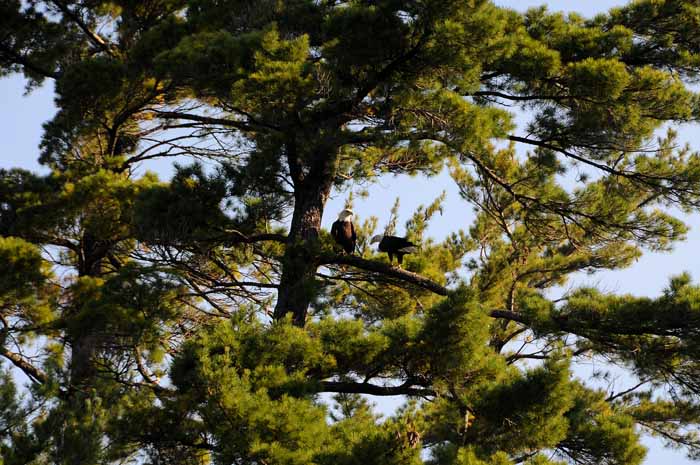 September on the Au Sable 33