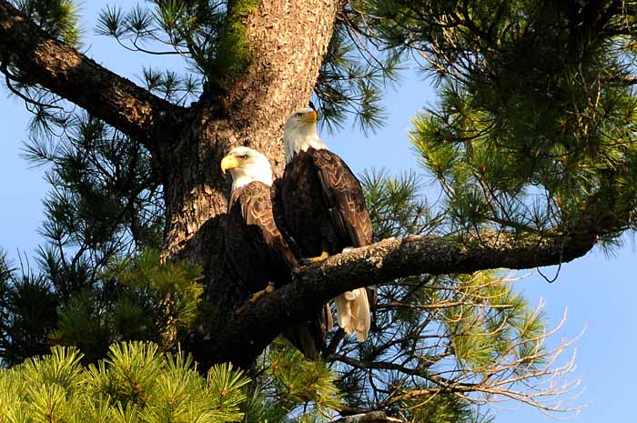 September on the Au Sable 35